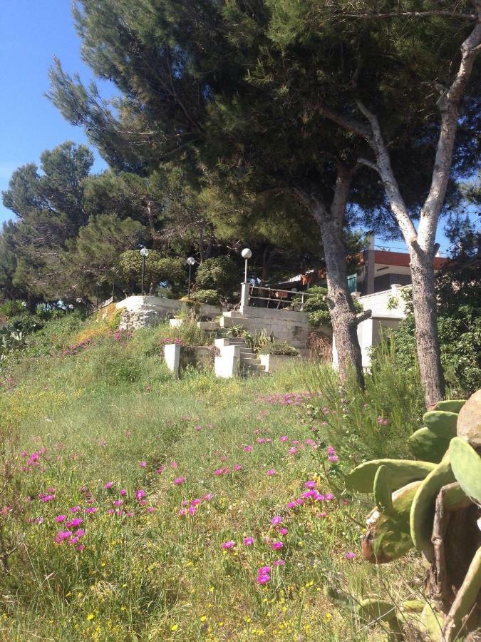 Villa Enzo Monopoli Exterior photo